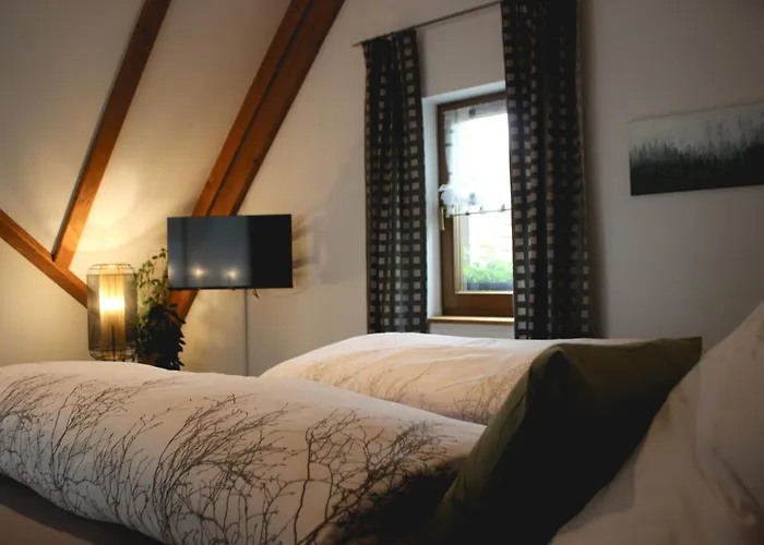 Mini-hôtel Zum Gruenen Baum Komfort