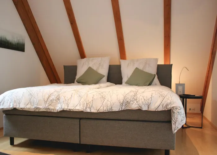 Zum Gruenen Baum Komfort Mini-hôtel *