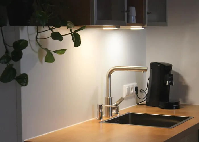 Zum Gruenen Baum Komfort Mini-hôtel